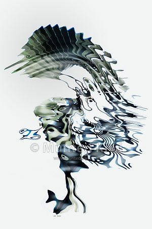 Sailfish and Heron