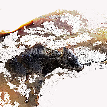 Standoff - Diptych 1